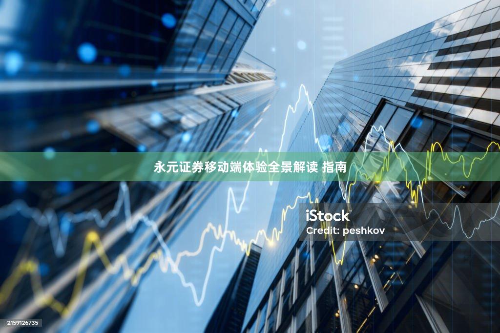 永元证券移动端体验全景解读 指南