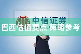 巴西估值要点 策略参考