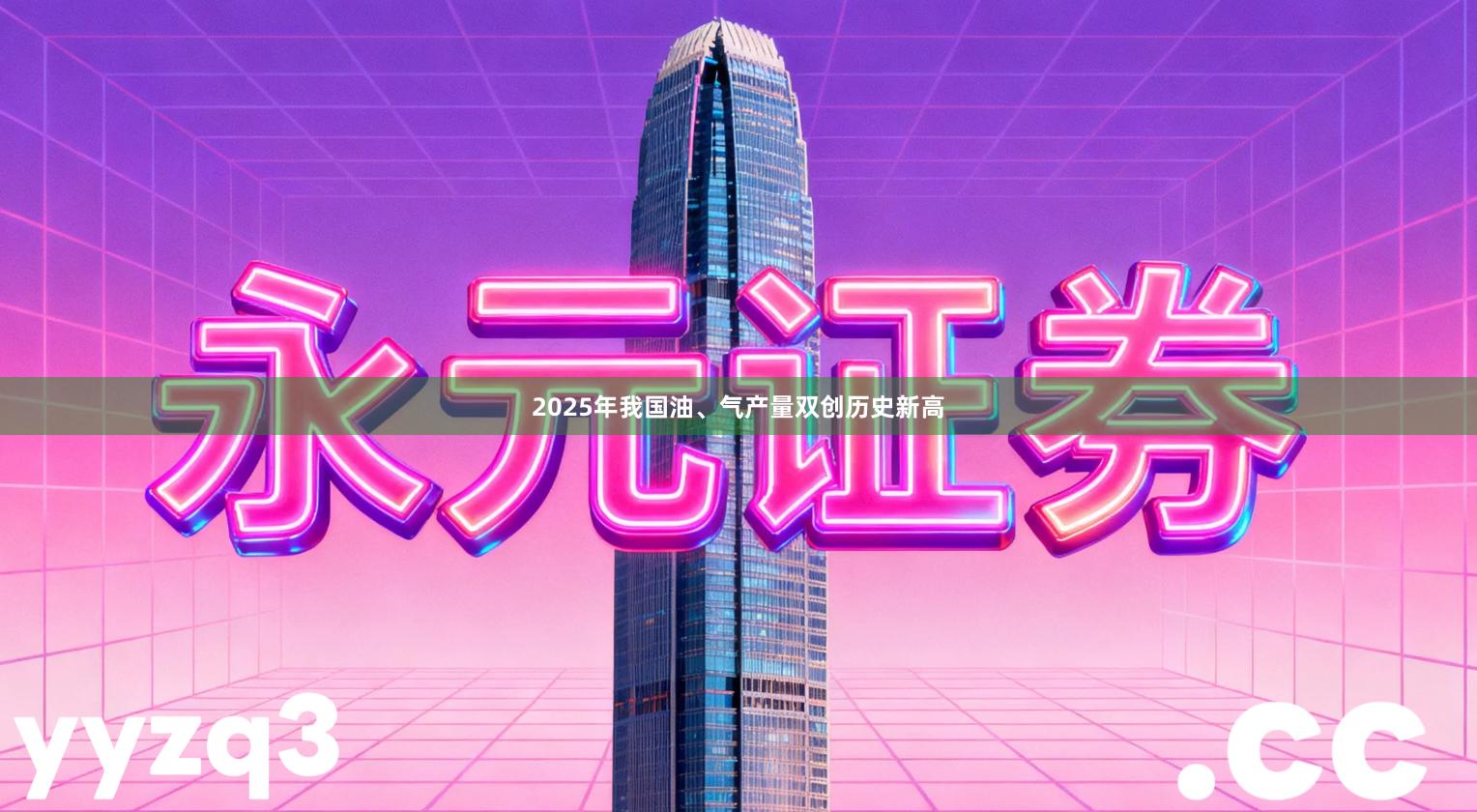 2025年我国油、气产量双创历史新高